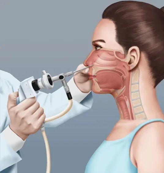 Эндоскопическое исследование полости носа и носоглотки/глотки и гортани