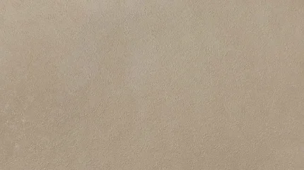 Фото для Обои Elysium Мох Е301604 1,06х10,05 м бежевый, виниловые на флизелиновой основе