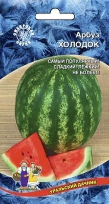 arbuz_astrakhanskiy_1_g_gavrish