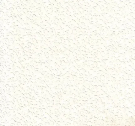Фото для Обои под покраску CASA ALPINA 1,06х25 м белый, виниловые на флизелиновой основе ПФ1-12-024