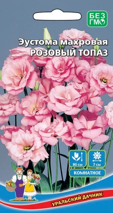 eustoma_makhrovaya_liziantus_rozovyy_topaz_