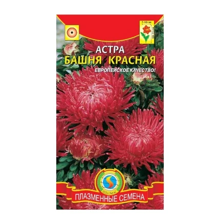 Фото для Астра Башня Красная