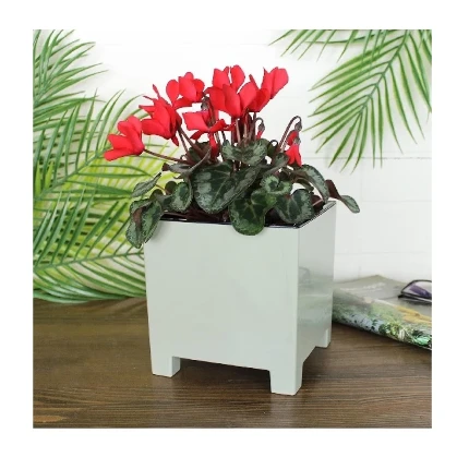 Фото для Горшок Нард 2,1л Шалфей с вкладкой d14 h14