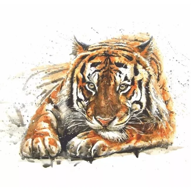 fotooboi_vostorg_a_054_salyuty_392kh260sm_16l