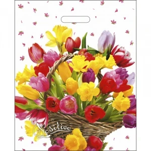 Фото для ПАКЕТ ПОДАРОЧНЫЙ ПОЛИЭТИЛЕНОВЫЙ 38*47СМ ВЫРУБНАЯ РУЧКА АССОРТИ 60МКМ (845, Хорошее настроение)