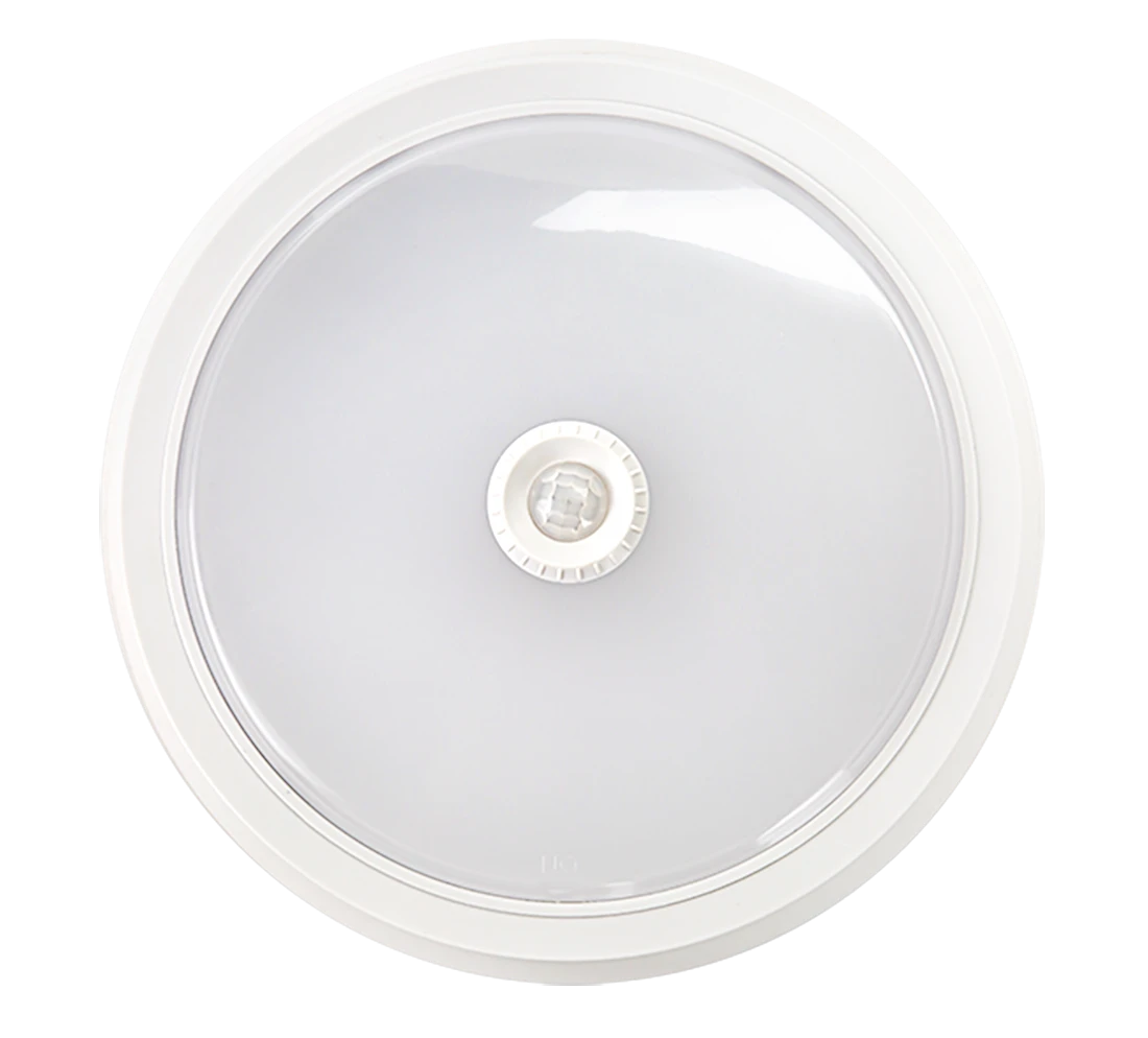 5442ea13_c86a_11e8_aeef_001e6713fbbe_bc255c4b_f5fc_11e9_af34_001e6713fbbe.resize1