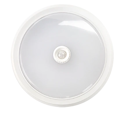 5442ea13_c86a_11e8_aeef_001e6713fbbe_bc255c4b_f5fc_11e9_af34_001e6713fbbe.resize1