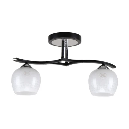 Фото для Светильник Экономсвет 10162/2BK+CR WT