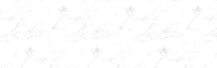 dnpio4qy7a1zp5ljtmuq5ousd7ziknsx