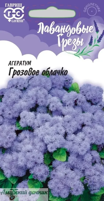 6581sdq9xzeifpfnp3i3gkczynzbwq6w