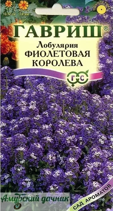 Фото для ЦВЦ Лобулярия (алиссум) Фиолетовая королева, морская F1 0,05г." Г"/20