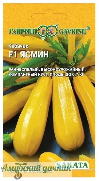 qftg2ins898utnv1701llww5z1j527k0