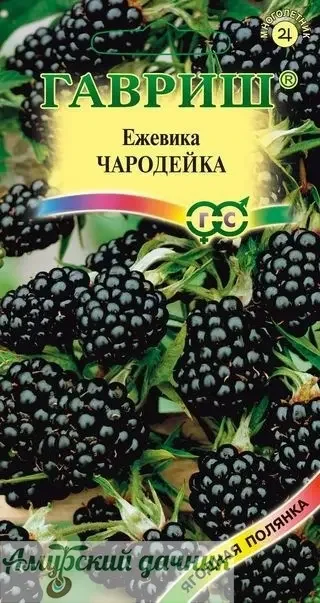 Фото для ЦВП Ягоды Ежевика Чародейка 10с. " Г"/20