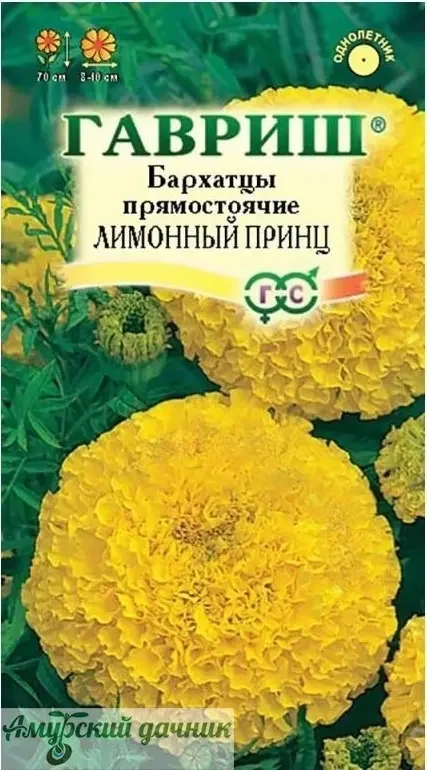 Фото для ЦВЦ Бархатцы Лимонный принц, 0,1 г." Г" /20(70см)