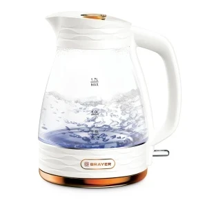 sla1fbp8o5y2zg9p1gywc574rnrvo1wo