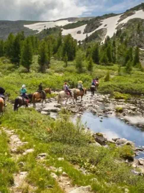 Туры на Алтай