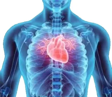 Рентгенография сердца в 3-х проекциях (с использованием контрастного вещества)