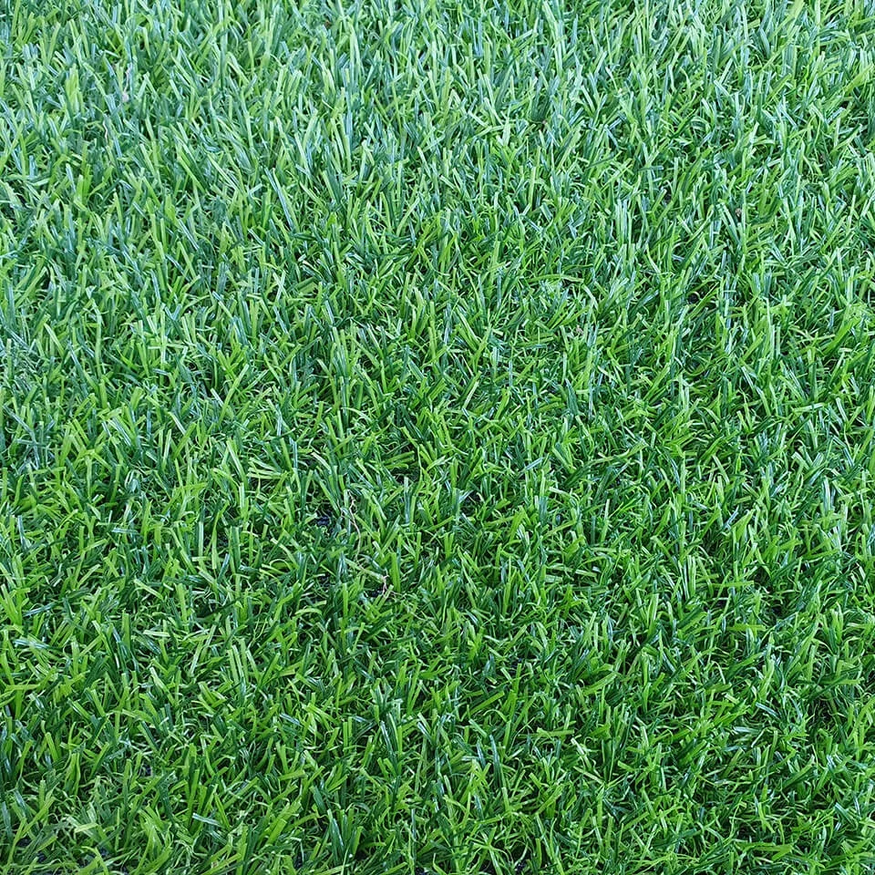 Искусственная трава для газона 20 мм (рулонные покрытия)