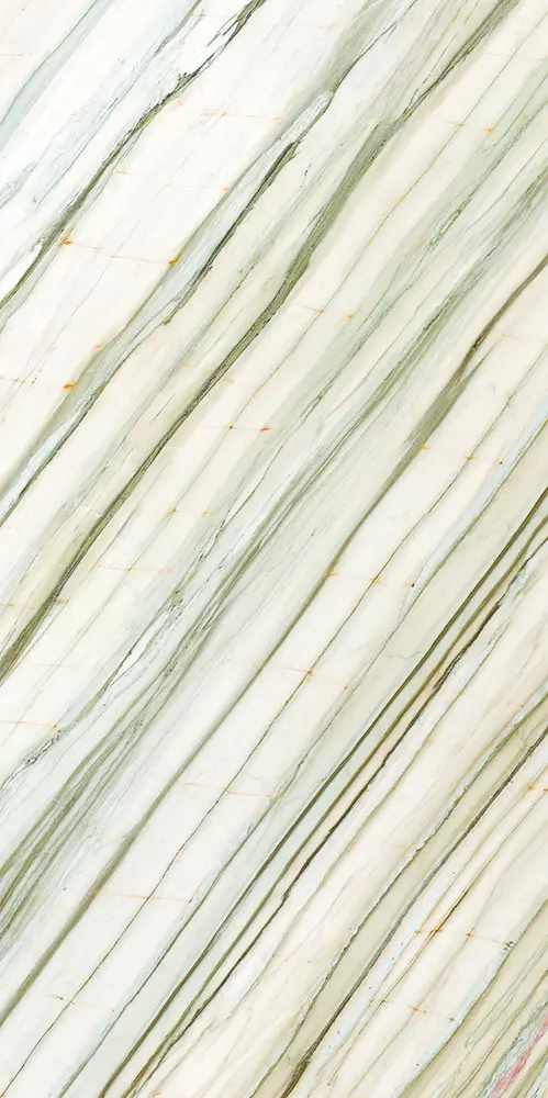 31b121d5c38472f4b5d39de5972dd21d