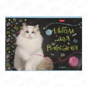 Фото для Альбом для рисования Мурчат коты 32л