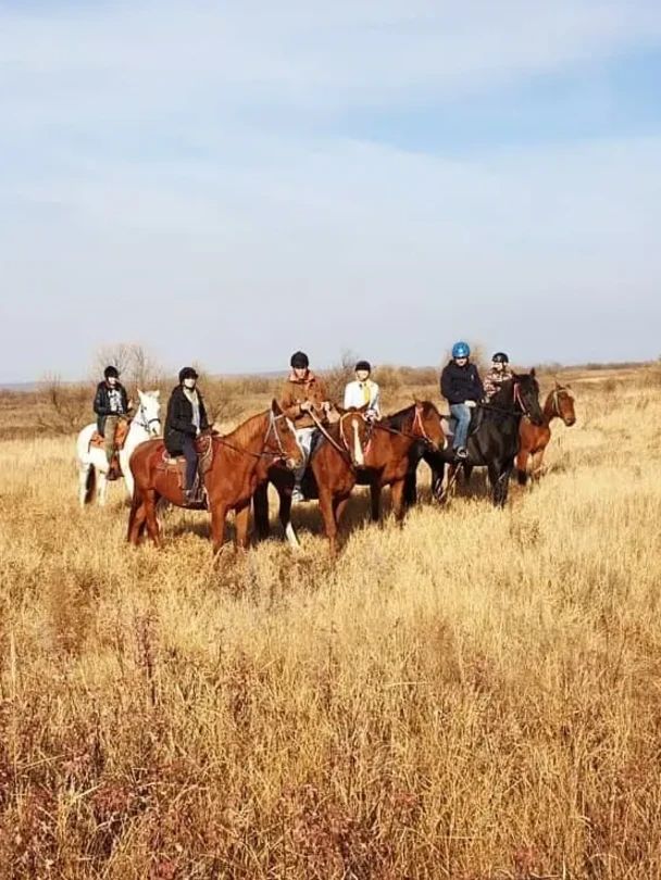 Прогулка на лошадях