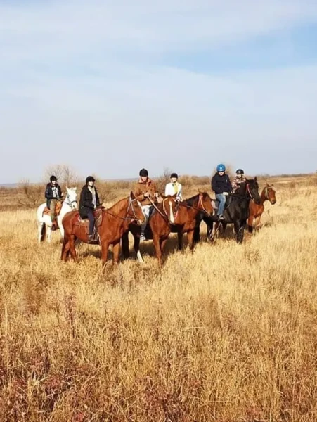 Прогулка на лошадях