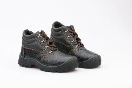 d3503e6d-1e15-11e4-be6d-1c3e84e9f216_15a9ca2d-c1de-11e5-b868-18cf5e196707