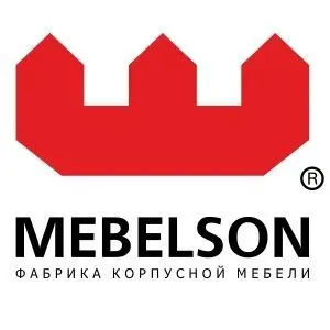 logo300