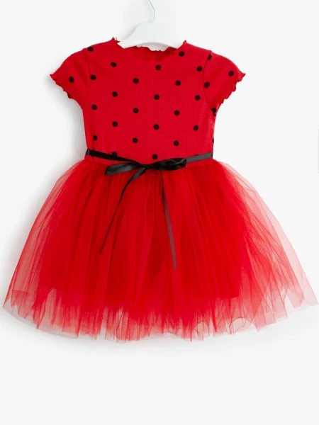 2gy0i0n690v5hzc5ccushqpz0w2edasb