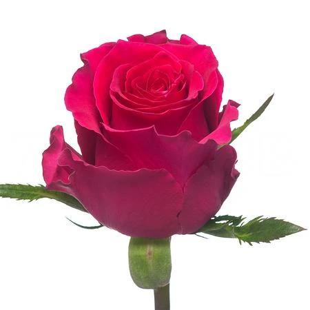 bfae0110683f11f08299d85ed377b6fa_53fc2809687911f08299d85ed377b6fa