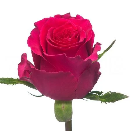 bfae0110683f11f08299d85ed377b6fa_53fc2809687911f08299d85ed377b6fa