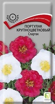 Фото для Портулак крупноцветковый Спартак (ЦВ) ("1) 0,1гр.