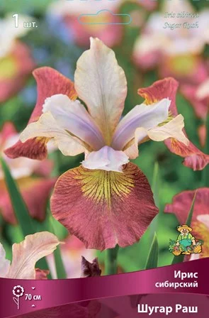 8b267dead3b511ee82d9d85ed377b6fa_8b267debd3b511ee82d9d85ed377b6fa