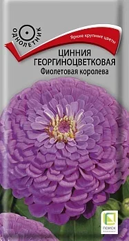 Фото для Цинния георгиноцветковая Фиолетовая королева (ЦВ) ("1) 0,4гр.