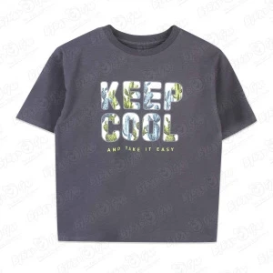 Фото для Футболка Lanson Kids с надписью Keep Cool серая