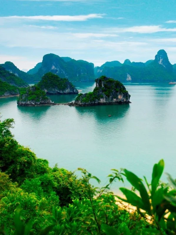 Вьетнам 2025. Фантьет из Благовещенска