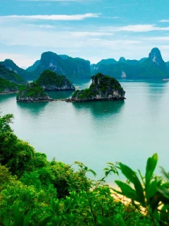 Вьетнам 2025. Фантьет из Благовещенска