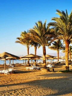 Хургада (Египет) из Москвы 2025 г